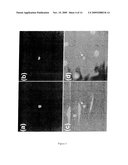 USE OF NAP GENE TO MANIPULATE LEAF SENESCENCE IN PLANTS diagram and image