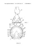 Horseshoe diagram and image