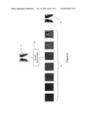 FEATURE BASED NEURAL NETWORK REGRESSION FOR FEATURE SUPPRESSION diagram and image