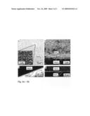 FORMATION OF HIGHLY POROUS GAS-SENSING LAYERS BY DEPOSITION OF NANOPARTICLES PRODUCED BY FLAME SPRAY PYROLYSIS diagram and image