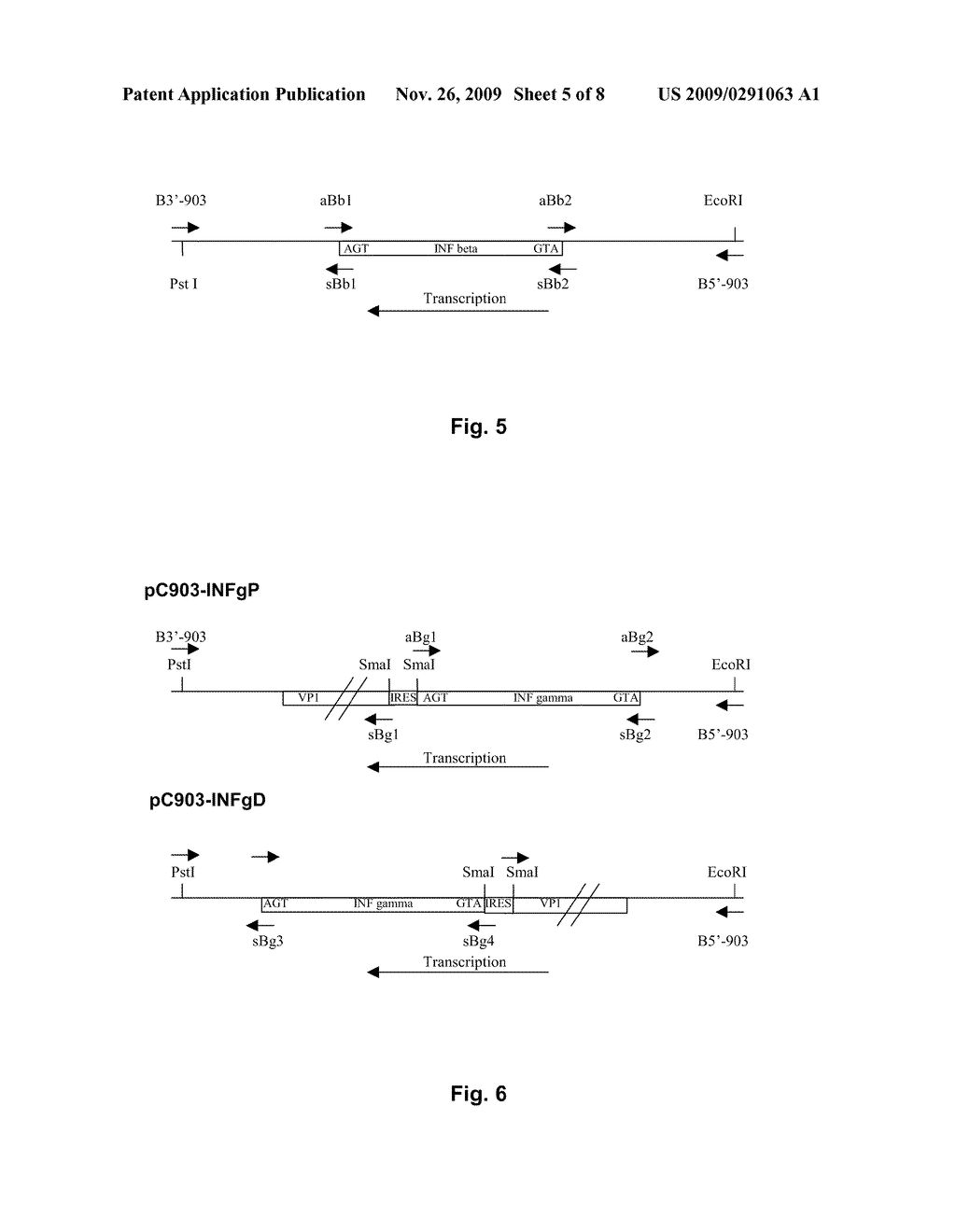 COMPOSITIONS AND METHODS FOR THE TREATMENT OF VIRAL HEPATITIS - diagram, schematic, and image 06