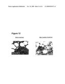 MEANS AND METHODS FOR THE TREATMENT OF TUMOROUS DISEASES diagram and image