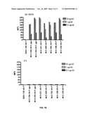 THERAPEUTIC COMBINATIONS OF ANTI-IGF-1R ANTIBODIES AND OTHER COMPOUNDS diagram and image