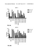 THERAPEUTIC COMBINATIONS OF ANTI-IGF-1R ANTIBODIES AND OTHER COMPOUNDS diagram and image