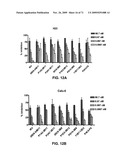 THERAPEUTIC COMBINATIONS OF ANTI-IGF-1R ANTIBODIES AND OTHER COMPOUNDS diagram and image