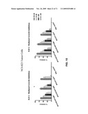 THERAPEUTIC COMBINATIONS OF ANTI-IGF-1R ANTIBODIES AND OTHER COMPOUNDS diagram and image