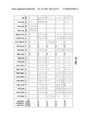 THERAPEUTIC COMBINATIONS OF ANTI-IGF-1R ANTIBODIES AND OTHER COMPOUNDS diagram and image