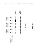 THERAPEUTIC COMBINATIONS OF ANTI-IGF-1R ANTIBODIES AND OTHER COMPOUNDS diagram and image