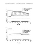 THERAPEUTIC COMBINATIONS OF ANTI-IGF-1R ANTIBODIES AND OTHER COMPOUNDS diagram and image