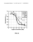 THERAPEUTIC COMBINATIONS OF ANTI-IGF-1R ANTIBODIES AND OTHER COMPOUNDS diagram and image