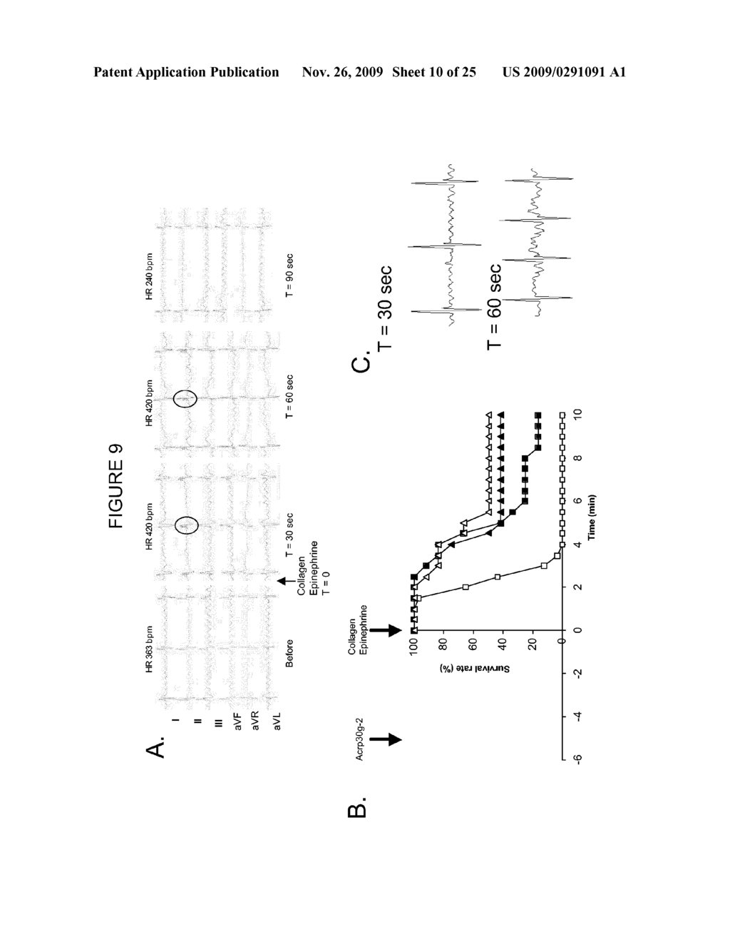 USE OF THE GLOBULAR DOMAIN OF ACRP30 FOR THE PREPARATION OF A MEDICAMENT FOR THE PREVENTION AND/OR TREATMENT OF THROMBOSIS-RELATED DISEASES - diagram, schematic, and image 11