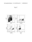 ANTIBODIES AND PROCESSES FOR PREPARING THE SAME diagram and image