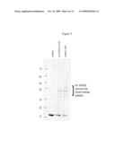 ANTIBODIES AND PROCESSES FOR PREPARING THE SAME diagram and image