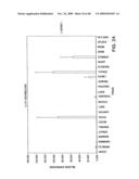 IL-17 homologous polypeptides and therapeutic uses thereof diagram and image