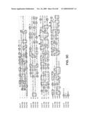 IL-17 homologous polypeptides and therapeutic uses thereof diagram and image