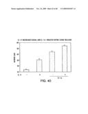 IL-17 homologous polypeptides and therapeutic uses thereof diagram and image