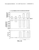 IL-17 homologous polypeptides and therapeutic uses thereof diagram and image