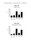 MICROSPHERE-BASED COMPOSITION FOR PREVENTING AND/OR REVERSING NEW-ONSET AUTOIMMUNE DIABETES diagram and image