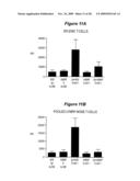 MICROSPHERE-BASED COMPOSITION FOR PREVENTING AND/OR REVERSING NEW-ONSET AUTOIMMUNE DIABETES diagram and image