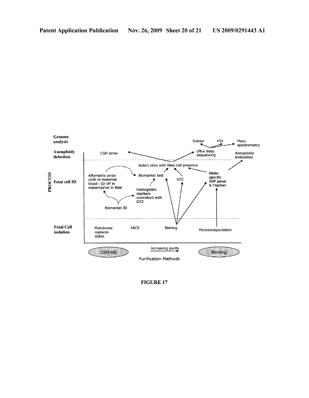 USE OF HIGHLY PARALLEL SNP GENOTYPING FOR FETAL DIAGNOSIS - diagram, schematic, and image 21