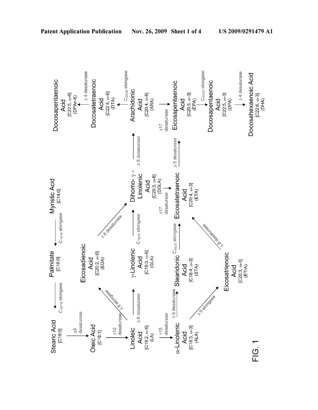 MANIPULATION OF ACYL-COA BINDING PROTEIN EXPRESSION FOR ALTERED LIPID PRODUCTION IN MICROBIAL HOSTS - diagram, schematic, and image 02