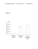 Method to enhance production of paralytic shellfish toxins from dinoflagellate cultures diagram and image