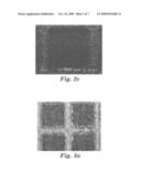 ELECTROMAGNETIC WAVE SHIELDING GASKET HAVING ELASTICITY AND ADHESIVENESS diagram and image