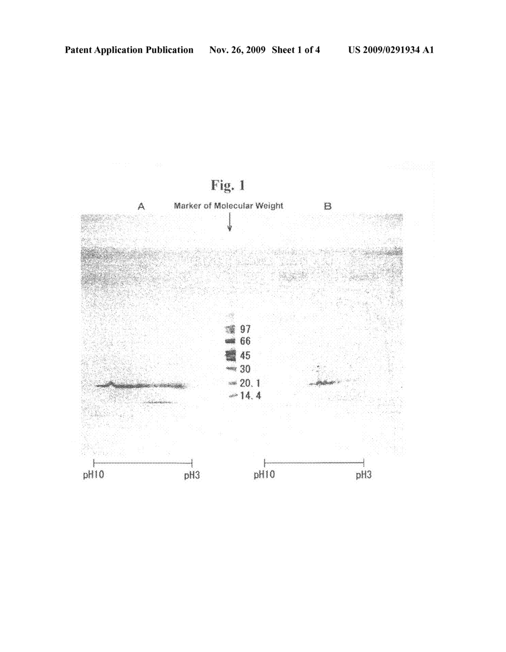 Method for decomposing an allergen - diagram, schematic, and image 02