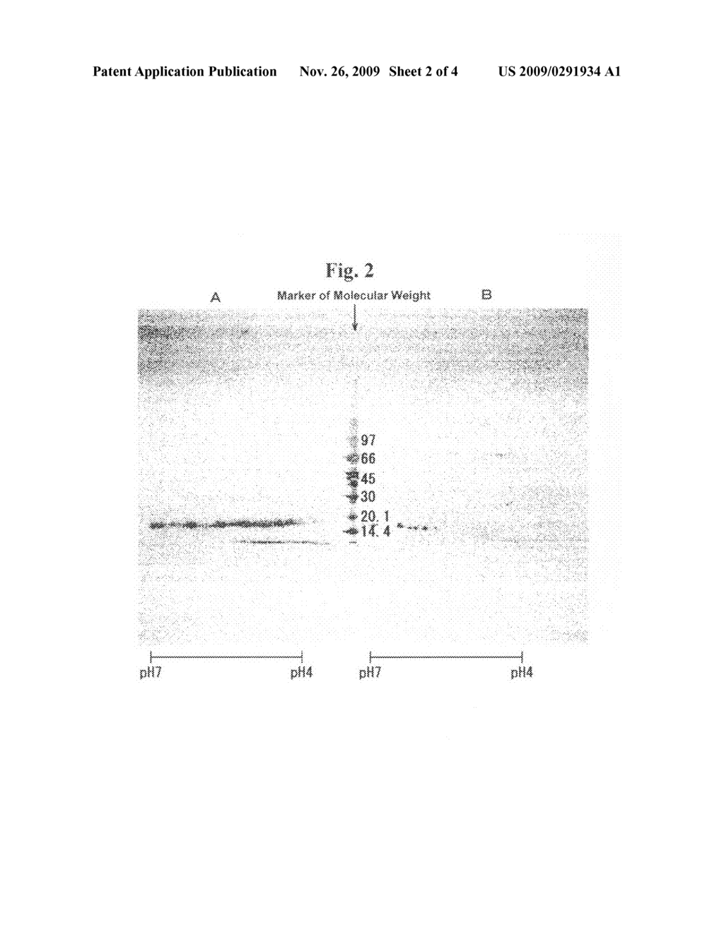 Method for decomposing an allergen - diagram, schematic, and image 03