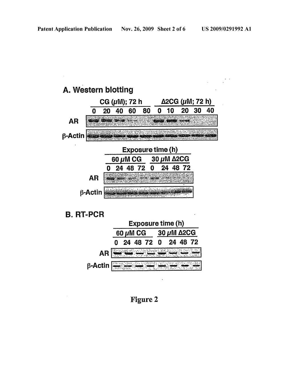 ANDROGEN RECEPTOR-ABLATIVE AGENTS - diagram, schematic, and image 03