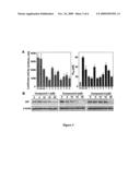 ANDROGEN RECEPTOR-ABLATIVE AGENTS diagram and image