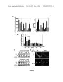 ANDROGEN RECEPTOR-ABLATIVE AGENTS diagram and image