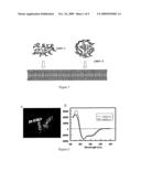 CELL PENETRATING PEPTIDES FOR INTRACELLULAR DELIVERY OF MOLECULES diagram and image