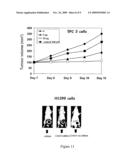 CELL PENETRATING PEPTIDES FOR INTRACELLULAR DELIVERY OF MOLECULES diagram and image