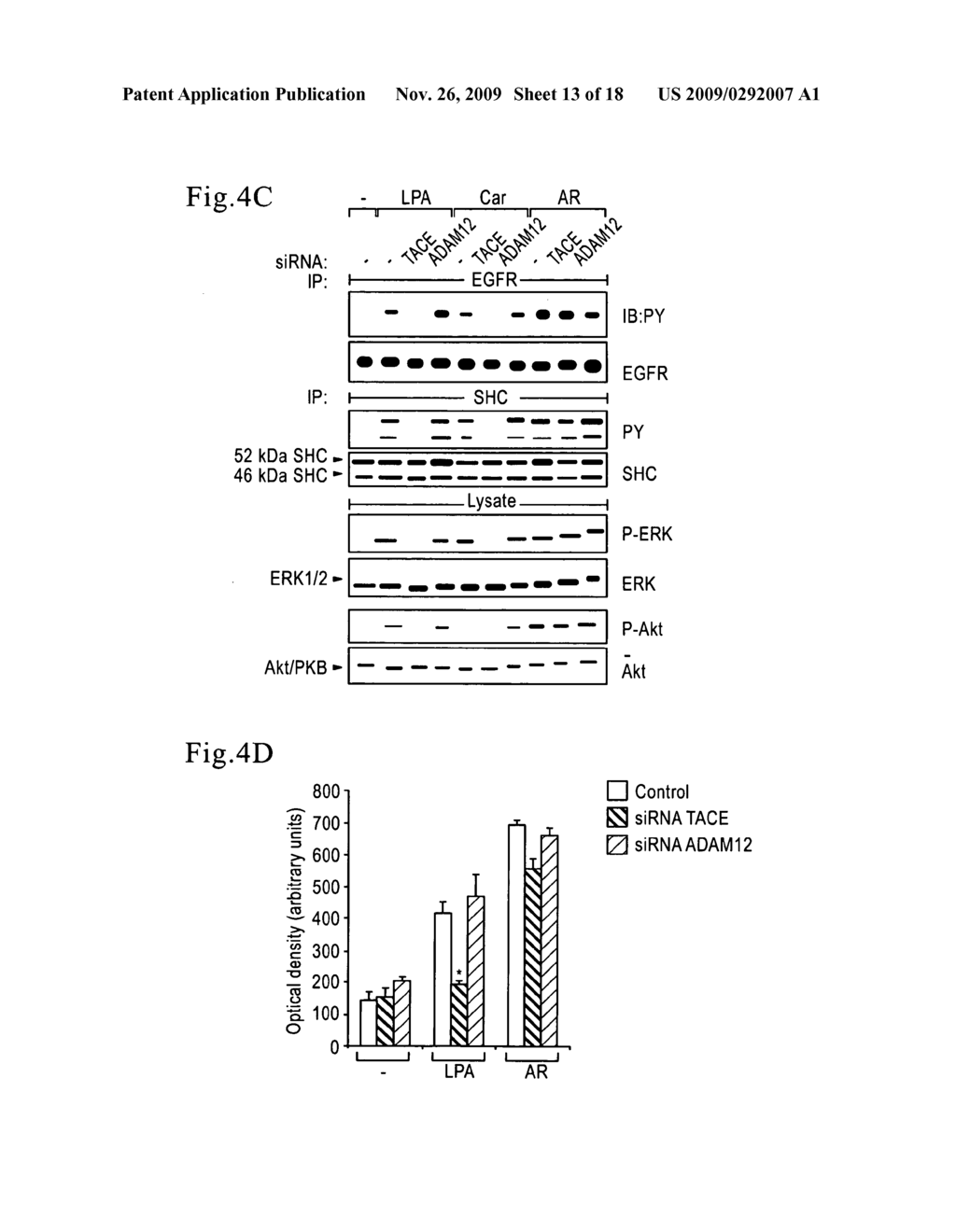 Inhibition of TACE or amphiregulin for the Modulation of EGF Receptor Signal Transactivation - diagram, schematic, and image 14