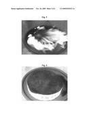 Fire retardant foam and methods of use diagram and image