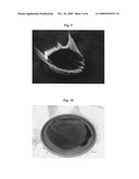 Fire retardant foam and methods of use diagram and image