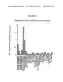 DNA encoding a novel RG1 polypeptide diagram and image