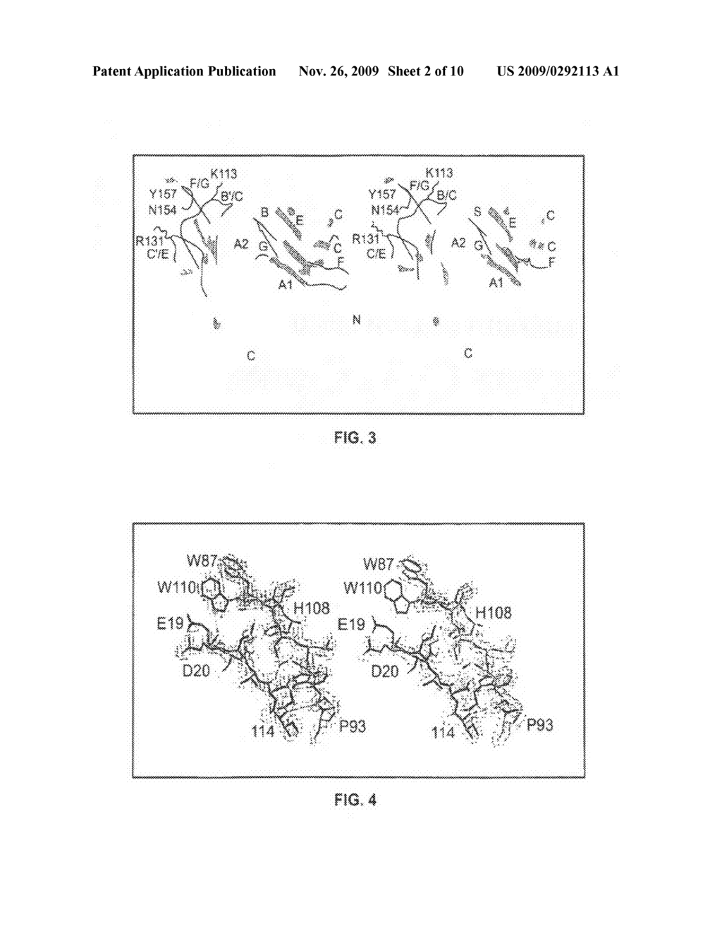 Recombinant soluble Fc receptors - diagram, schematic, and image 03