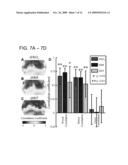 TASK-LESS OPTICAL MAPPING OF BRAIN FUNCTION USING RESTING STATE FUNCTIONAL CONNECTIVITY diagram and image