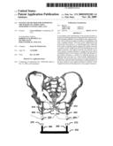 System and Method for Supporting The Weight Of A Body Using Osseopercutaneous Implants diagram and image