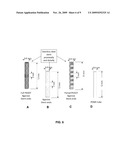 HYBRID BIOELECTRICAL INTERFACE DEVICE diagram and image