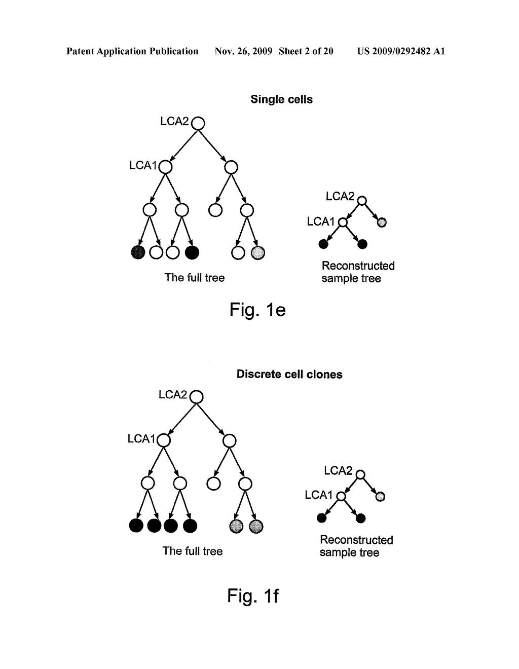 Methods and Systems for Generating Cell Lineage Tree of Multiple Cell Samples - diagram, schematic, and image 03