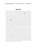 Novel Gene Disruptions, Compositions and Methods Relating Thereto diagram and image