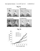 ANIMAL MODELS CARRYING TUMORS EXPRESSING HUMAN PROSTATE CANCER-SPECIFIC ANTIGEN AND METHOD FOR ANALYZING PREVENTION AND TREATMENT EFFICACY OF DENDRITIC CELLS-DERIVED IMMUNOTHERAPEUTICS diagram and image