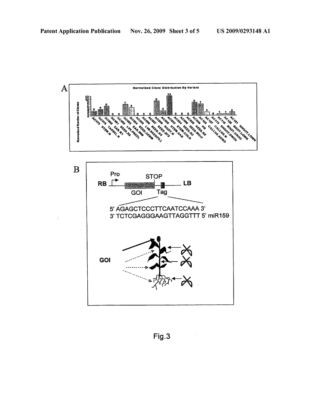 Improved Methods Controlling Gene Expression - diagram, schematic, and image 04