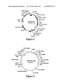 METHOD FOR PERFORMING HOMOLOGOUS RECOMBINATION IN PLANTS diagram and image