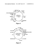 METHOD FOR PERFORMING HOMOLOGOUS RECOMBINATION IN PLANTS diagram and image