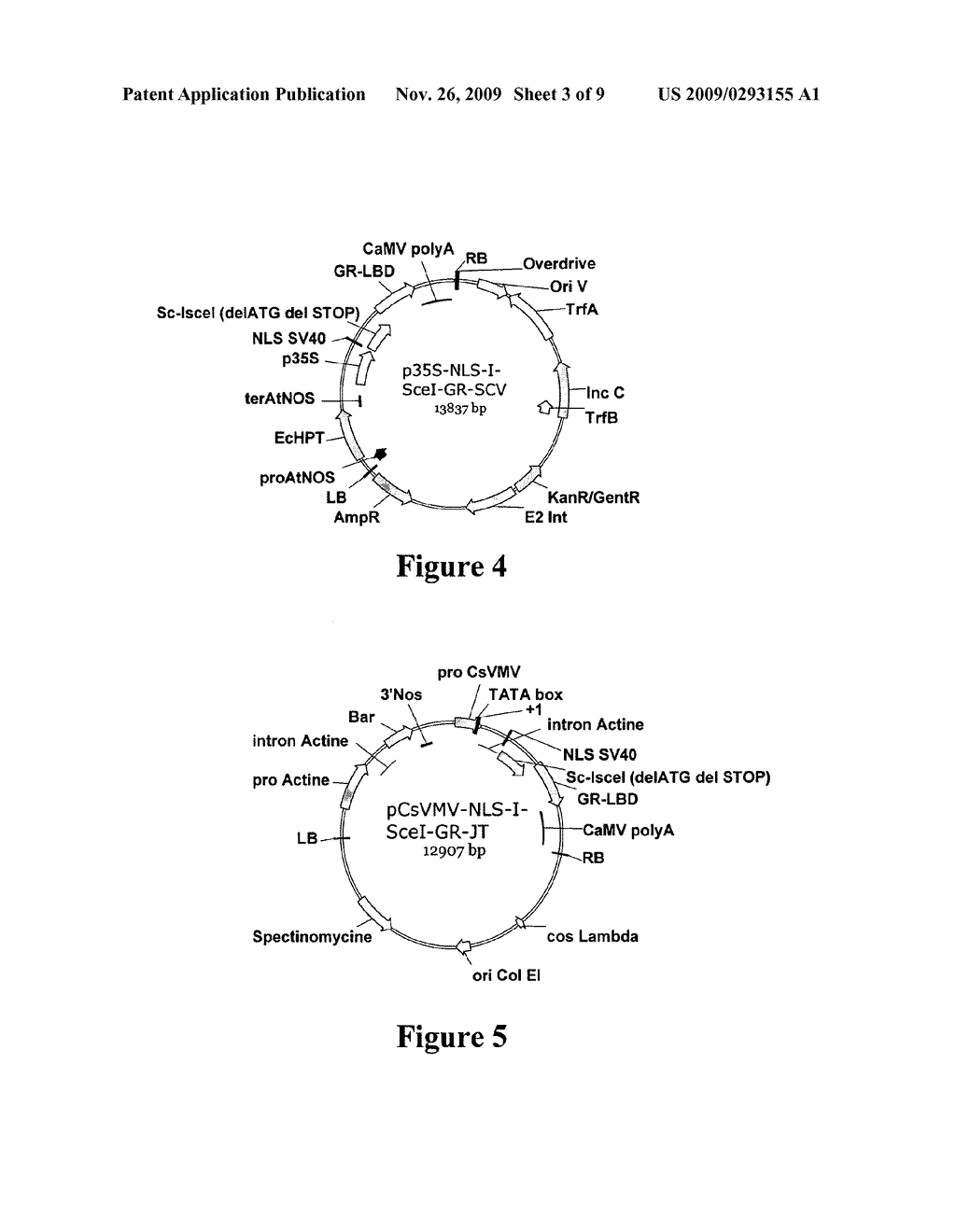 METHOD FOR PERFORMING HOMOLOGOUS RECOMBINATION IN PLANTS - diagram, schematic, and image 04