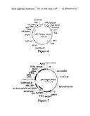 METHOD FOR PERFORMING HOMOLOGOUS RECOMBINATION IN PLANTS diagram and image